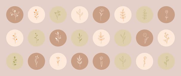 Plants and flowers with leaves in a minimalistic simple style. Handmade floral logo. Botanical one line icons set. Set of round highlighter icons for blog account and social media. Vector. - Vector, Image