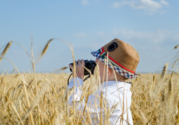 küçük çocuk bir buğday alan kuş gözlemciliği gizleme - Fotoğraf, Görsel