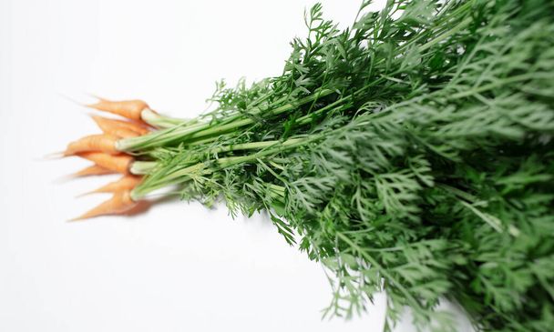 Studio picture of a small carrots bouquet, with green tops on white. - Fotó, kép