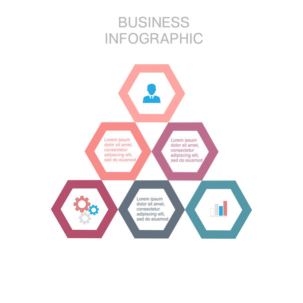 Business infographic hexagon, flat design, on white background - Vetor, Imagem