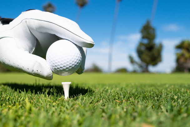 Hand putting golf ball on tee in golf course. Golf ball in grass. Golf ball on tee ready to be shot. - Фото, зображення