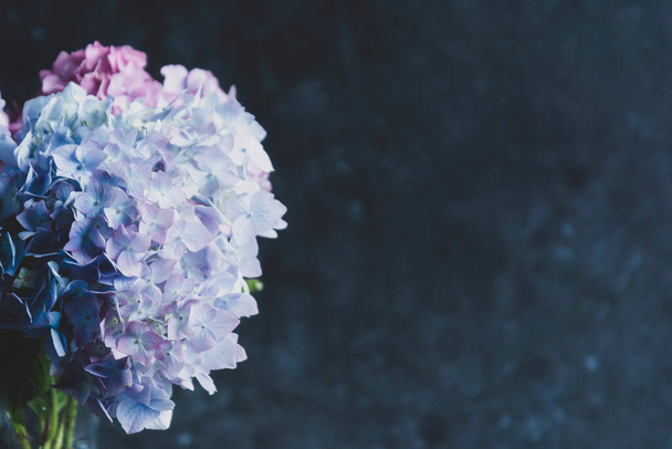 Hydrangea flower bouquet. Abstract beautiful blue and pink flower dark background - Photo, image