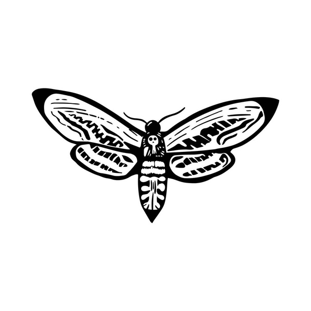 Deaths head moth in ink on white. Halloween design elements. - Вектор,изображение