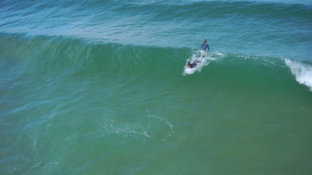 Surfer fangen Wellen - Filmmaterial, Video