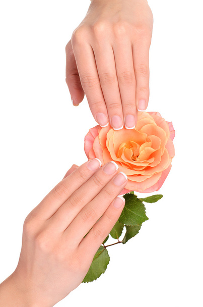 French manicure close up - Photo, Image
