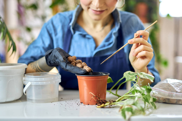 Cropped shot of woman pouring drainage into flower pot while preparing for plant transplantation in living room at home - Photo, Image