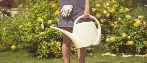 A gardener with an apron and work gloves holds a watering can for flowers. - Foto, Imagen