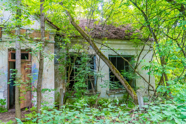 Закинутий будинок у Чорнобильській зоні відчуження поблизу міста Чорнобиль (Україна). - Фото, зображення