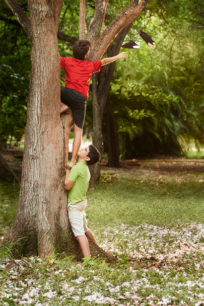 2 人の子供を支援し、公園の木に登る - 写真・画像