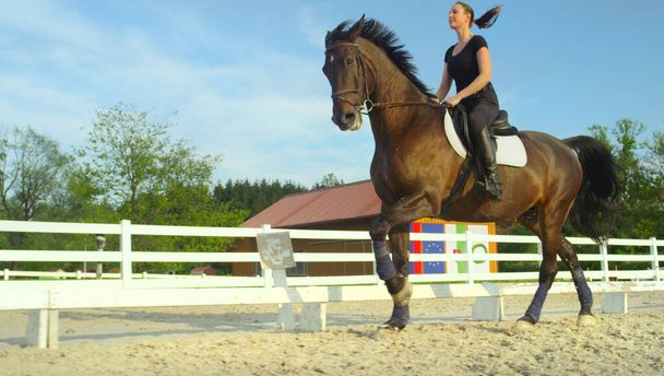 LOW ANGLE: Vrolijke Engelse ruiter die op haar paard door de zandige arena loopt. - Foto, afbeelding