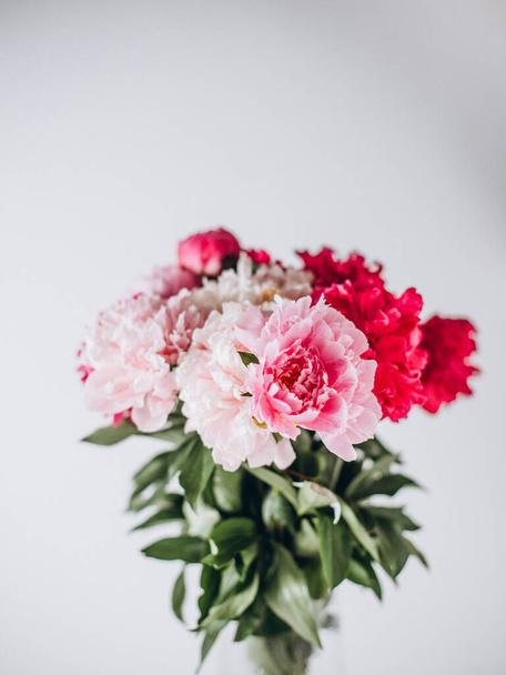 Pioenroos bloemen in vaas op de witte achtergrond - Foto, afbeelding