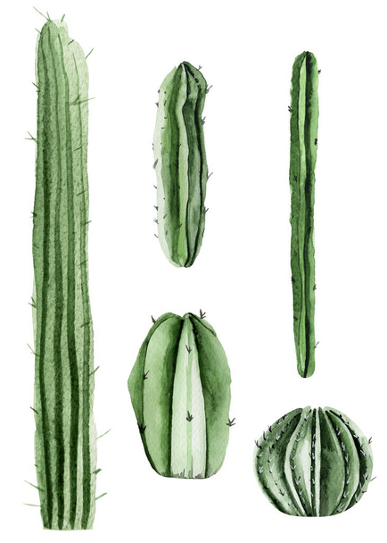 Kaktusové akvarelové prvky nastaveny. Šablona pro zdobení návrhů a ilustrací. - Fotografie, Obrázek