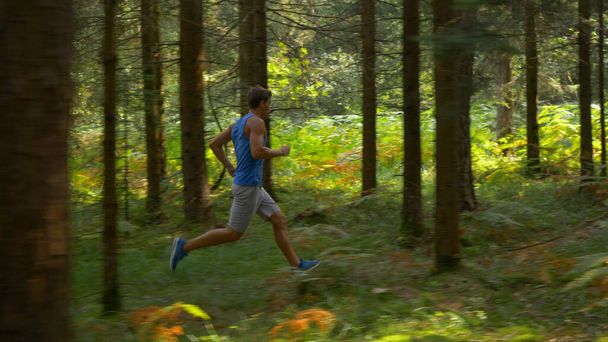 Male athlete sprinting during a trail running race through the tranquil forest. - 写真・画像