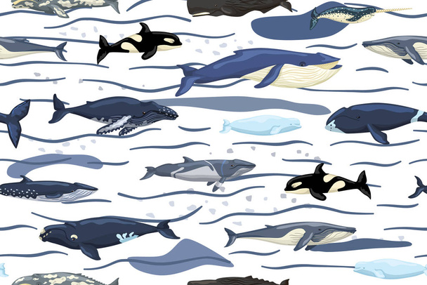 Balene modello senza soluzione di continuità su sfondo bianco con onde e macchie. Modello di personaggi dei cartoni animati di oceano in stile scandinavo per bambini. Texture con mammiferi marini. Progettazione per qualsiasi scopo - Vettoriali, immagini