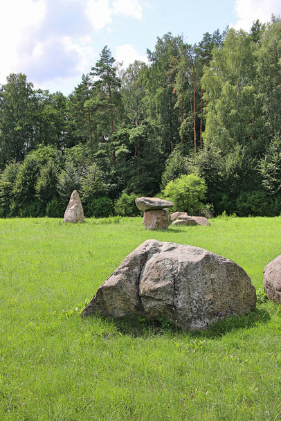 巨大な不規則な岩が公園にあります。大きな石は緑の草の中にあります。周りには緑の木がある。シルバリウム（Silvarium）は、ポコペックのクリンキ森林地区の森林公園。ポドラシー - 写真・画像