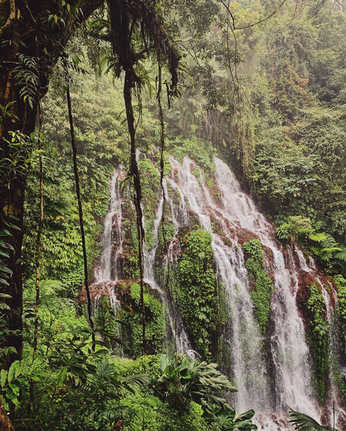 A waterfall flowing down into a pond in a tropical forest - 写真・画像