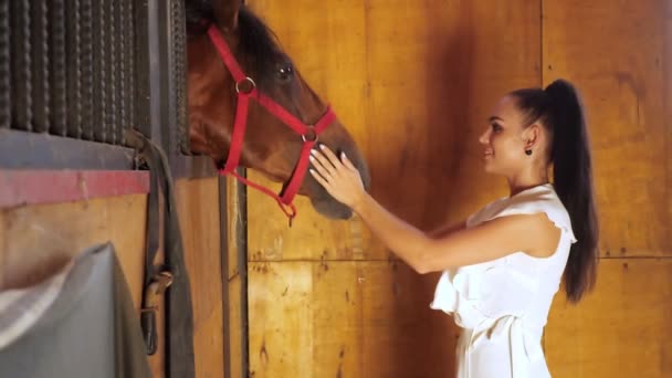 Mladá žena dlouhosrstá bruneta krmí velkého hnědého koně - Záběry, video