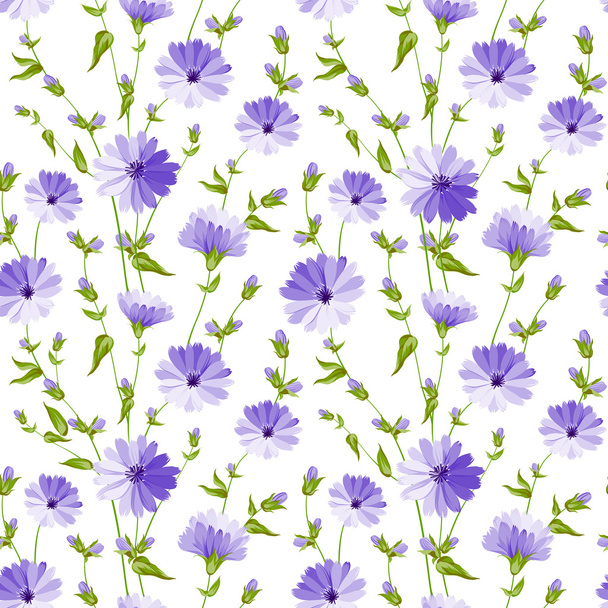 Chicory pattern. - Vektori, kuva