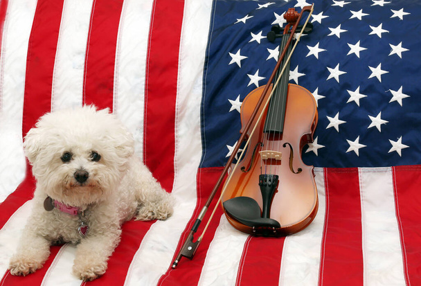 Violin. A Violin lays against an American Flag. Violin's are enjoyed world wide as musical instruments. A  good Stradivarius can be worth Millions of dollars and be in high demand by talented musicians.  - Zdjęcie, obraz
