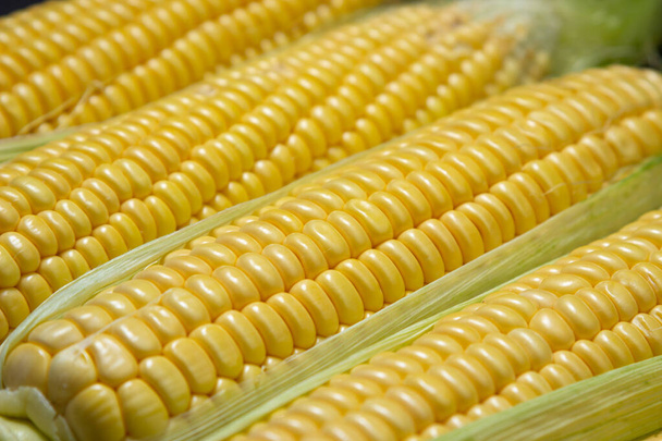 Kukoricát hámozott közelről. Teljes képernyős kukorica. Egészséges élelmiszer - Fotó, kép