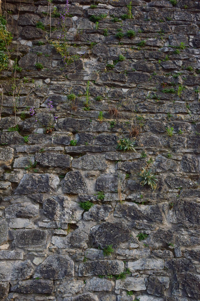 ein altes Pflaster mit Kopfsteinpflaster in verschiedenen Größen und Formen, durch das oben am Rahmen Gras sprießt - Foto, Bild