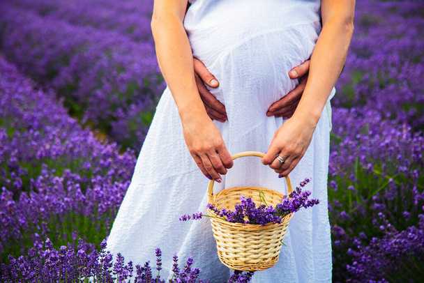 Pregnant girl in a lavender field  - 写真・画像