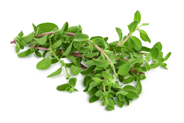 Oregano or marjoram leaves isolated on white background with clipping path and full depth of field - Photo, Image