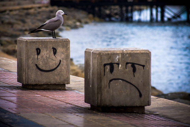 Komik ve hüzünlü yüzleri olan iki beton küp ve Antofagasta, Şili 'de onların üzerinde martı var..  - Fotoğraf, Görsel