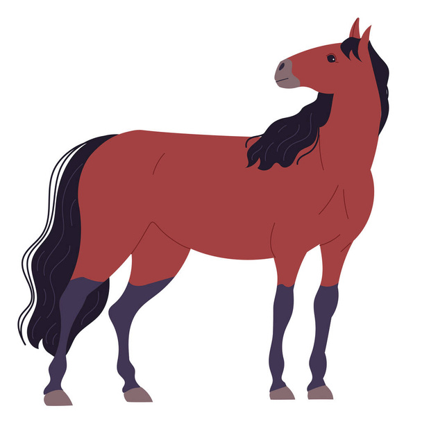Σκούρο καφέ άλογο στέκεται με το κεφάλι γυρισμένο στο πλάι. - Διάνυσμα, εικόνα