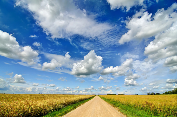 Paisagem rural com estrada no campo de trigo
 - Foto, Imagem