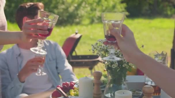 Twee jonge vrouwen brengen tijd door met hun vrienden buiten op barbecue party klinkende glazen met rode wijn - Video