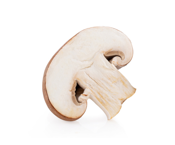Champignon gomba elszigetelt fehér alapon - Fotó, kép