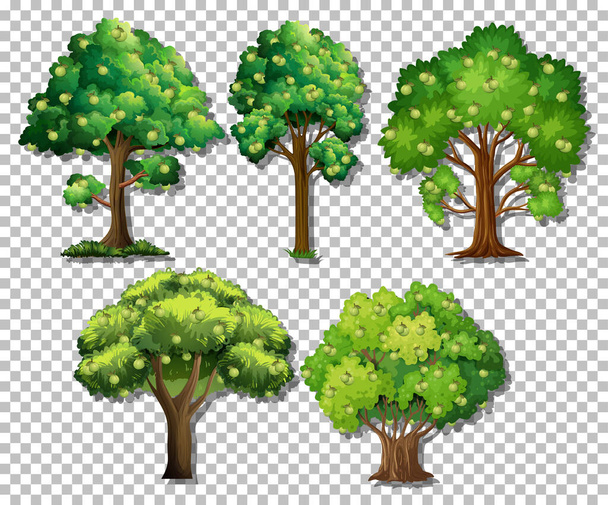 Saydam arkaplan illüstrasyonunda farklı ağaçlar kümesi - Vektör, Görsel