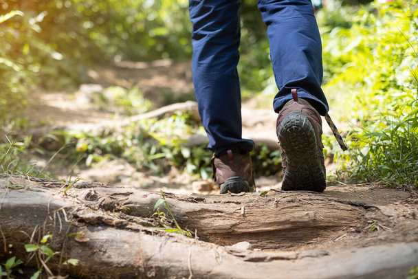 jeune femme jambes marchant dans les montagnes, voyageuse en chaussures de randonnée trekking sur le chemin dans la forêt. Concept voyage, aventure et voyage - Photo, image