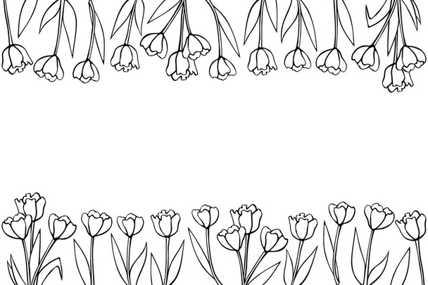 Flores de primavera. Marco de tulipanes de contorno. Vector garabato dibujado a mano aislado. Borde horizontal superior e inferior, borde, decoración para tarjeta de felicitación, invitación, San Valentín, Día de la Mujer o Madre. - Vector, imagen