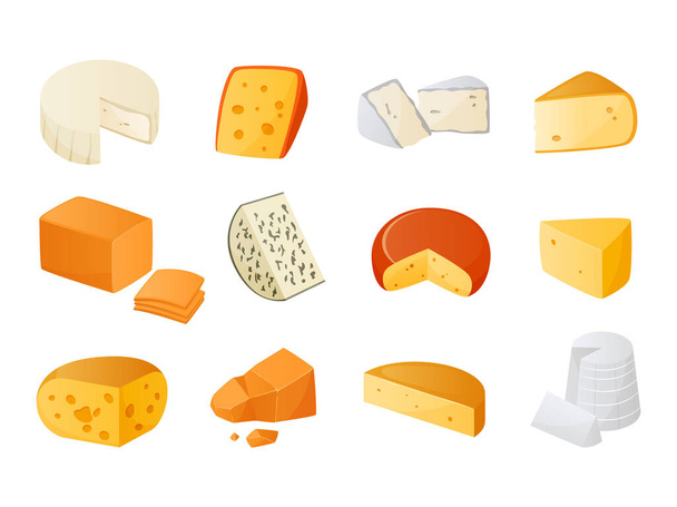 Cheese. Cow goat and sheep dairy products of varying maturity. Camembert and gouda slices. Gourmet appetizer. Dor blue, camembert or cheddar pieces. Vector natural delicious food set - Vector, Image