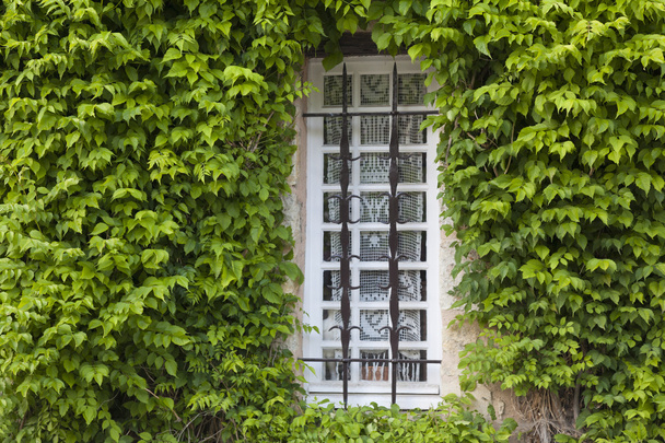 Window in Yevre-le-chatel, Loiret, Centre, France - Фото, изображение