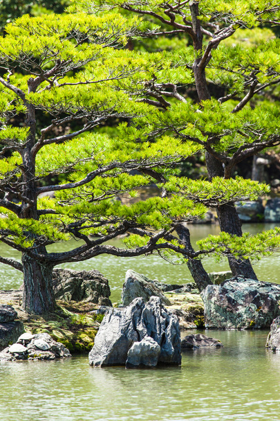 Japanese zen garden in kinkakuji temple park, Kyoto  - Photo, Image