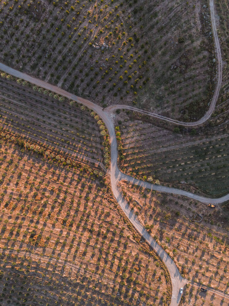 Una vista aerea dal piano che mostra passaggi e strade verso il basso come una maglia e forma veterinario - Foto, immagini