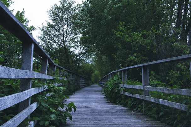 A shot of a wooden boardwalk - Photo, image