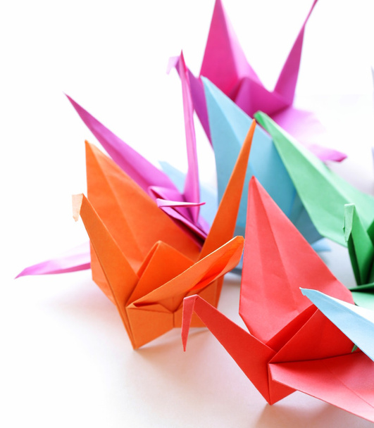 Colorful paper origami birds on a white background - Photo, Image