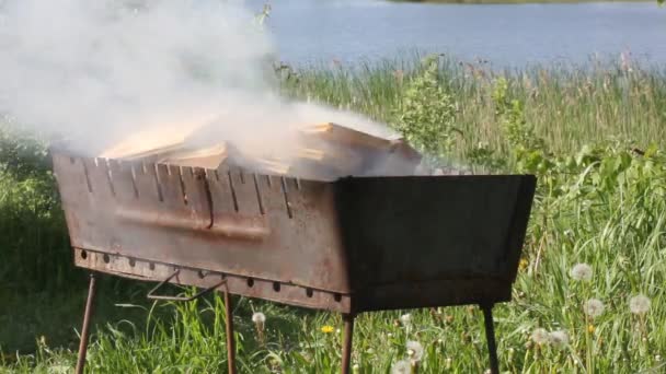 Száraz fa égett a tűzben egy fém grillsütőben. Nyár, tavaszi hétvége, piknik a folyó partján. Sűrű füst a szélben. Grillezési eljárás. Felkészülés a szabadtéri főzés egy nagy. Virágzó természet - Felvétel, videó