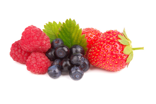 Berries - Photo, Image