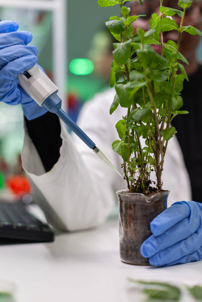 Afrikanischer Botaniker stellt genetische Lösung aus Reagenzglas - Foto, Bild