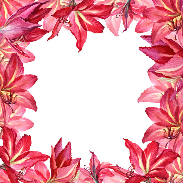 Watercolor frame border with red and pink hand drawn flower lily and bud isolated on white background. Banner template copy space for design of invite, wedding, celebration, announcement, quotes - Φωτογραφία, εικόνα