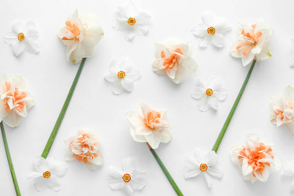 Lindas flores narciso no fundo branco - Foto, Imagem