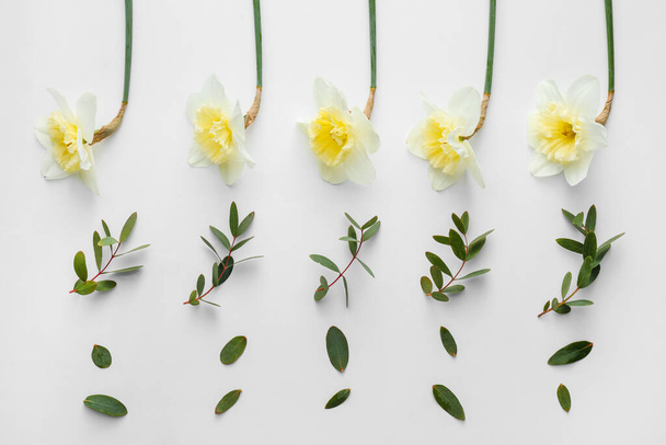 Beautiful composition with daffodils on white background - Zdjęcie, obraz