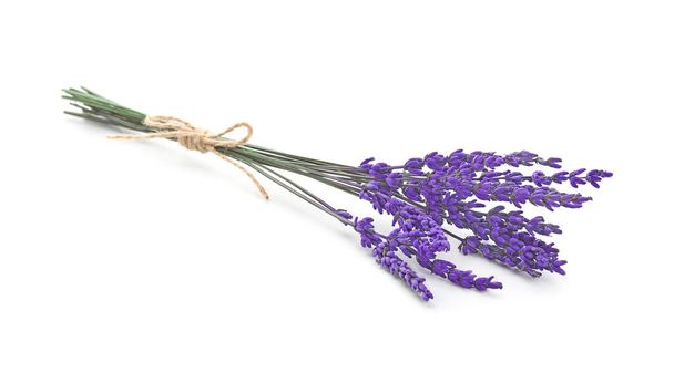 Beautiful lavender flowers on white background - Photo, Image