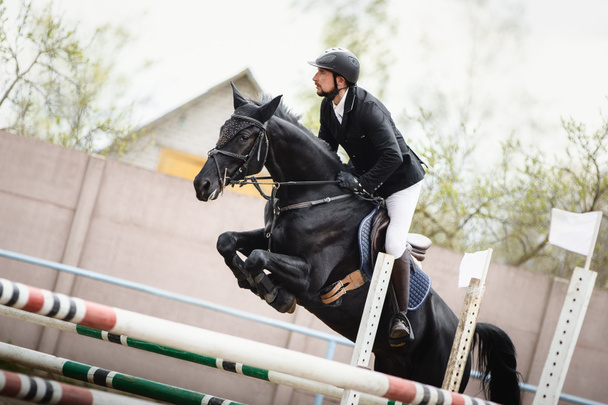 close up portrait of black mare horse and adult man rider jumping during equestrian show jumping competition in daytime in spring - Фото, зображення