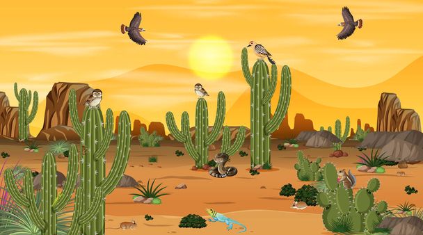 砂漠の動物や植物のイラストと日没シーンでの砂漠の森の風景 - ベクター画像